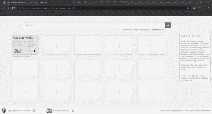 Epic Browser Interface