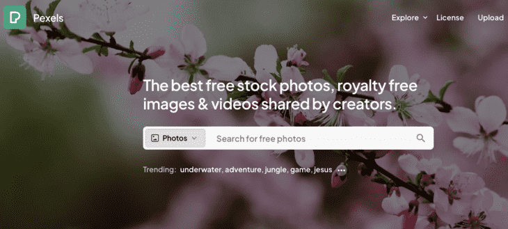 Pexels home page