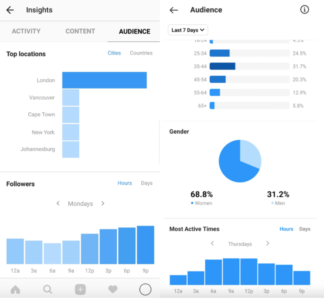 Audience tab in Instagram business account