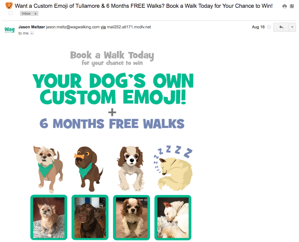 Wag! email newsletter example