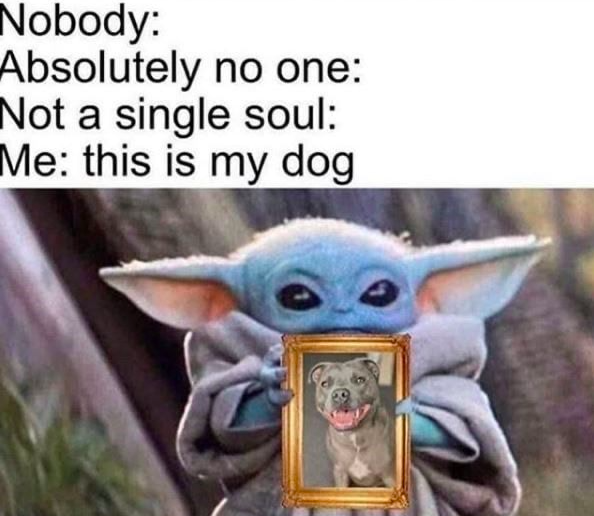 Two viral memes clashed together: “absolutely no one” and baby Yoda
